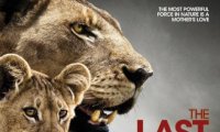 Последните лъвове